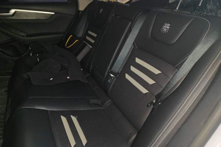 Used BYD Qin Pro New Energy 2018 EV500 Smart Connect Elite Model Left Rear Seat