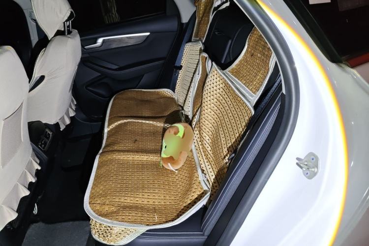Used BYD Qin Pro New Energy 2018 DM 1.5TI Automatic Smart Connect Elite Model Left Rear Seat