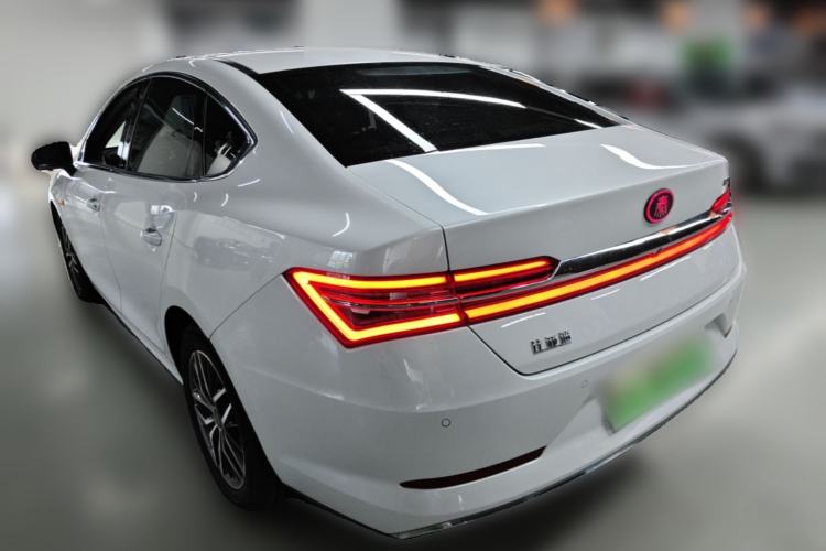Used BYD Qin Pro New Energy 2018 EV500 Smart Connect Elite Model Rear Left 45 Deg