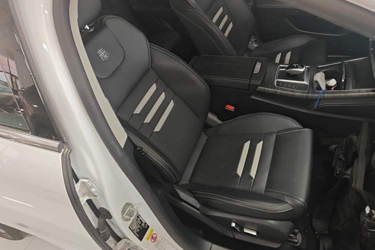Used BYD Qin Pro New Energy 2018 EV500 Smart Connect Elite Model Right Front Seat