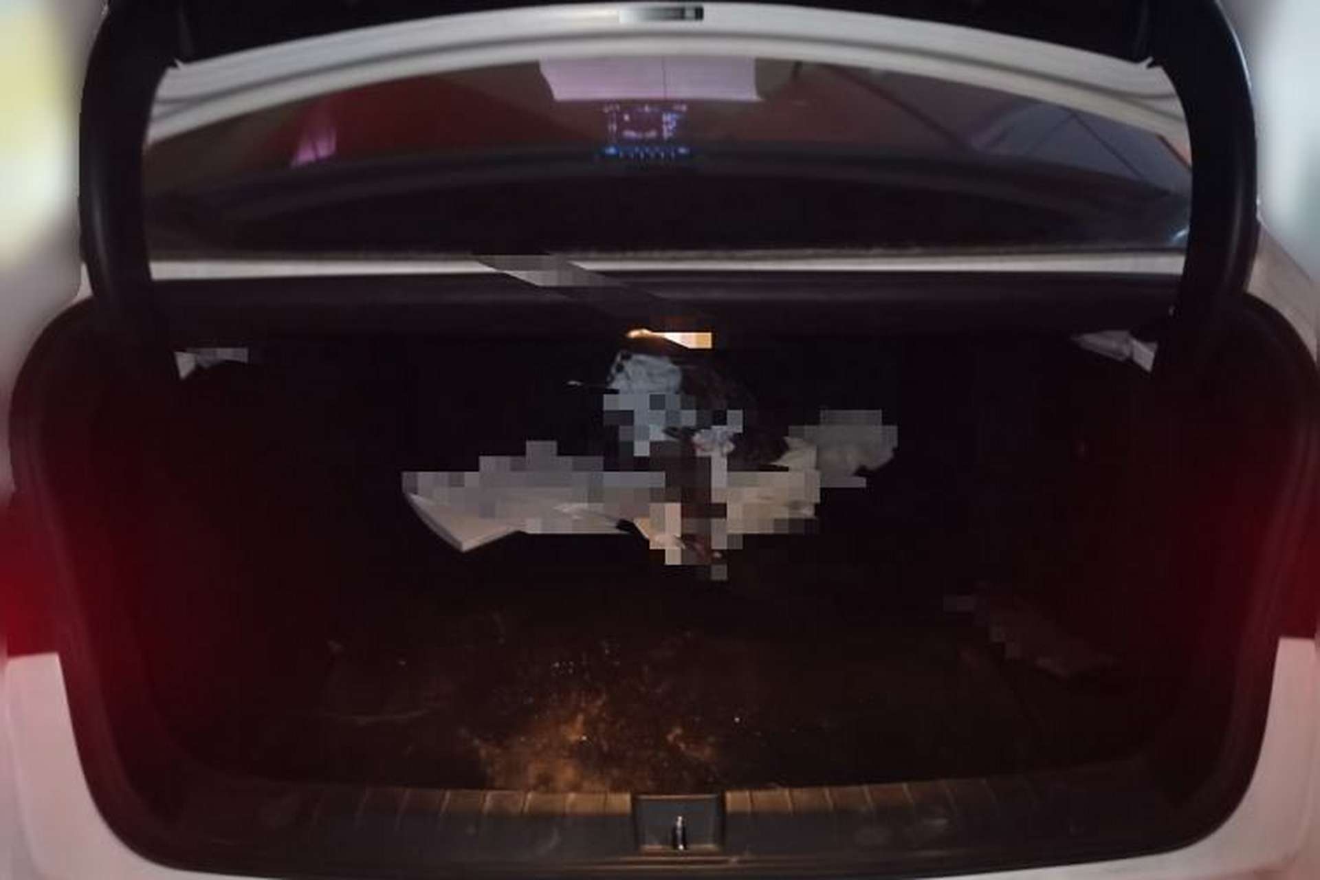 Used BYD Qin Pro New Energy 2018 EV500 Smart Connect Elite Model Trunk