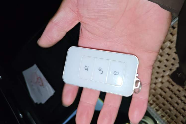 Used BYD Qin Pro New Energy 2018 DM 1.5TI Automatic Smart Connect Elite Model Vehicle Key