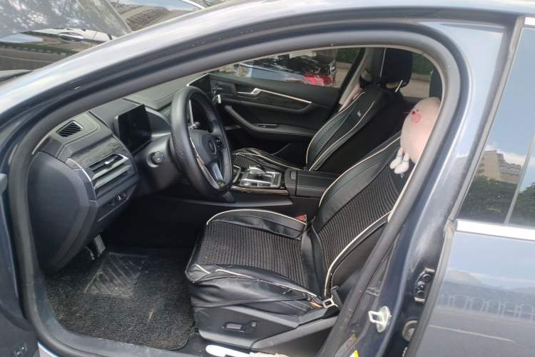 Used BYD Qin Pro New Energy 2019 EV Super Edition High-Power Long-Range Smart-Connected Cutting-Edge Model Left Front Seat