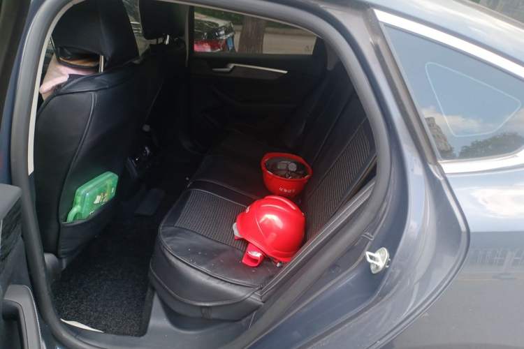 Used BYD Qin Pro New Energy 2019 EV Super Edition High-Power Long-Range Smart-Connected Cutting-Edge Model Left Rear Seat
