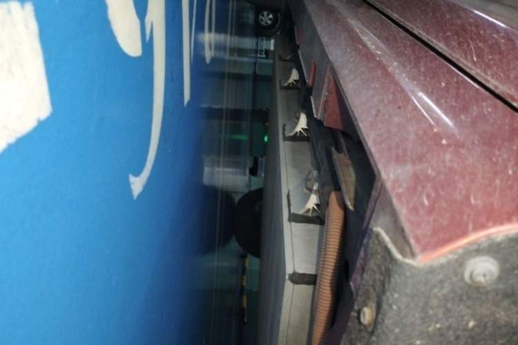 Used BYD Qin Pro New Energy 2019 EV Super Edition High-Power Long-Range Smart-Connected Leading Model Chassis Front Right