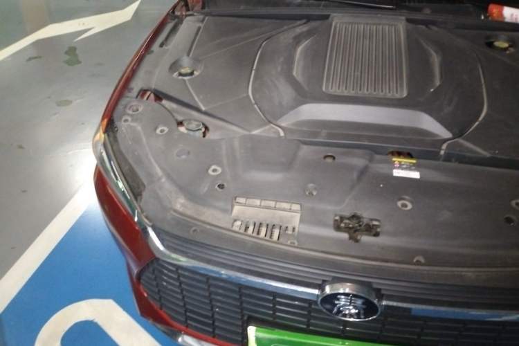 Used BYD Qin Pro New Energy 2019 EV Super Edition High-Power Long-Range Smart-Connected Leading Model Engine Bay Right
