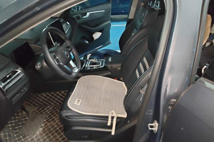 Used BYD Qin Pro New Energy 2019 EV Super Edition High-Power Long-Range Smart-Connected Cutting-Edge Model Left Front Seat