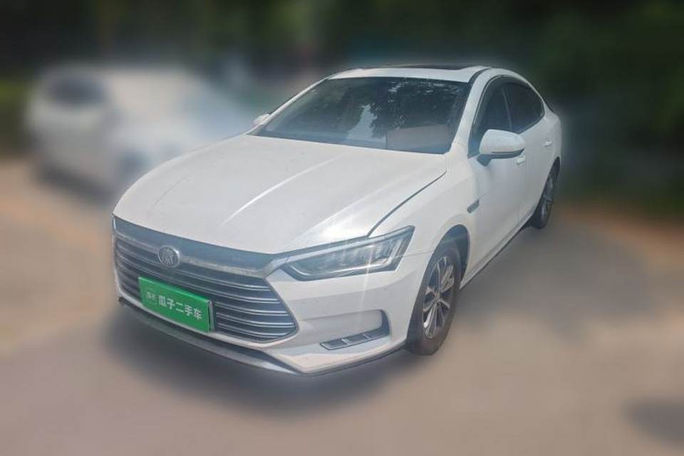 BYD Qin Pro New Energy 2019
