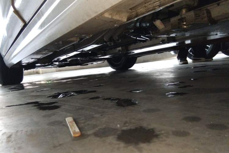 Used BYD Qin Pro New Energy 2019 DM Super Edition 1.5TI Automatic Smart Connect X-Trail Model China VI Standard Chassis Rear Left