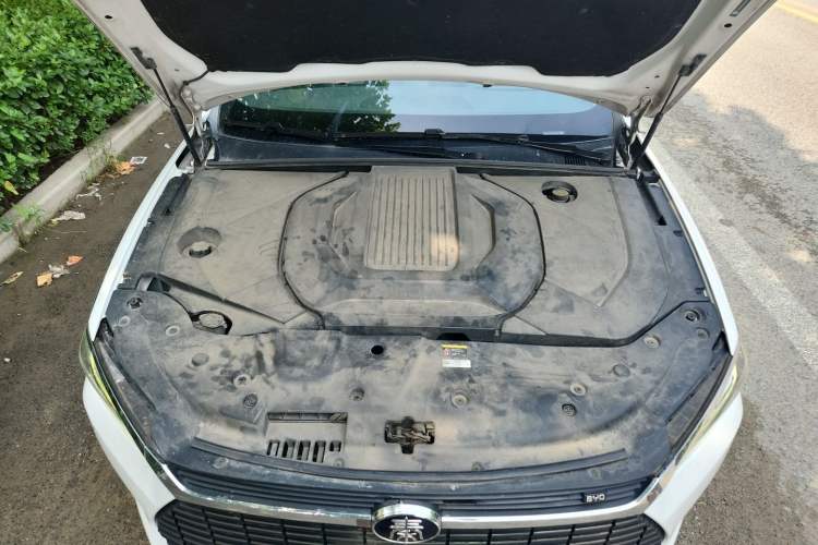 Used BYD Qin Pro New Energy 2019 EV Super Edition High-Power Long-Range Smart-Connected Cutting-Edge Model Engine Bay