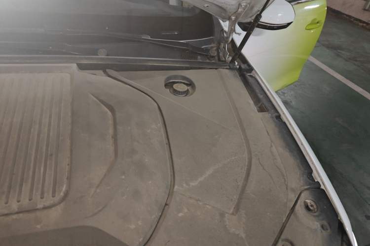 Used BYD Qin Pro New Energy 2019 EV Super Edition High-Power Smart Connect Luxurious Model Engine Bay Left