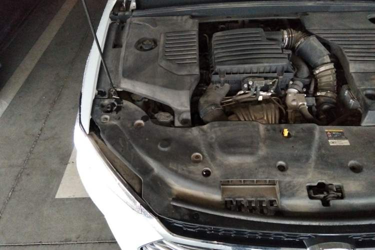 Used BYD Qin Pro New Energy 2019 DM Super Edition 1.5TI Automatic Smart Connect X-Trail Model China VI Standard Engine Bay Right