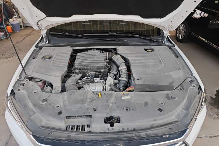 Used BYD Qin Pro New Energy 2019 DM 1.5TI Automatic Navigation Edition Engine Bay