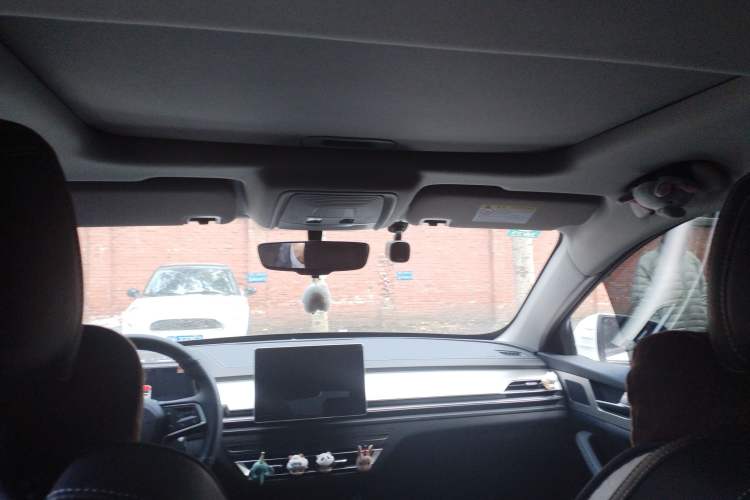 Used BYD Qin Pro New Energy 2019 EV Super Edition Standard Version Smart Connect Leading Style Headliner