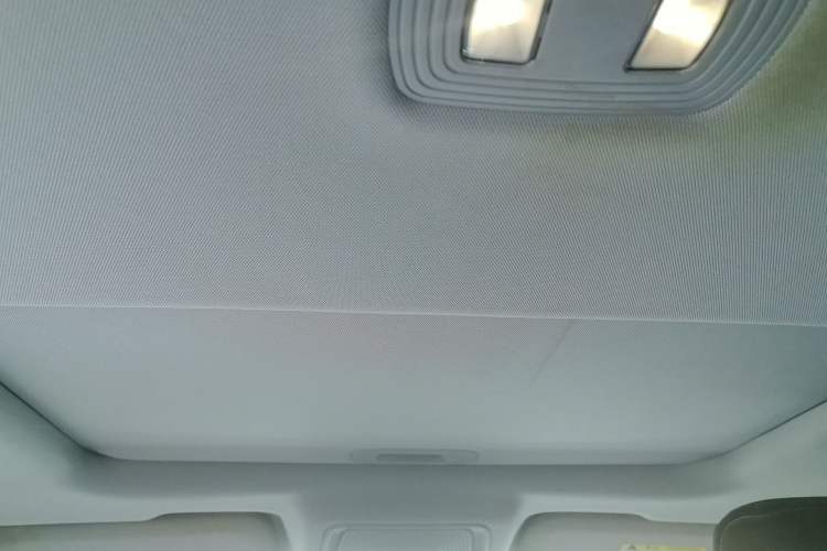 Used BYD Qin Pro New Energy 2019 EV Super Edition Standard Version Smart Connect Leading Style Headliner