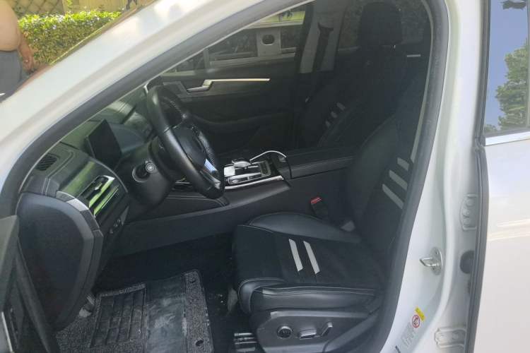 Used BYD Qin Pro New Energy 2019 EV Super Edition High-Power Long-Range Smart-Connected Cutting-Edge Model Left Front Seat