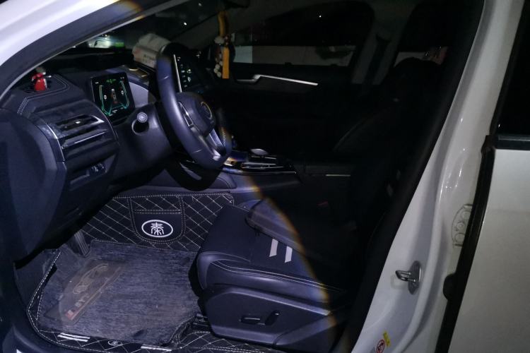 Used BYD Qin Pro New Energy 2019 EV Super Edition High-Power Long-Range Smart-Connected Cutting-Edge Model Left Front Seat