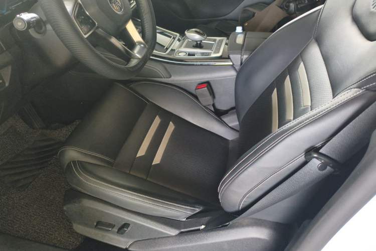 Used BYD Qin Pro New Energy 2019 EV Super Edition High-Power Long-Range Smart-Connected Cutting-Edge Model Left Front Seat