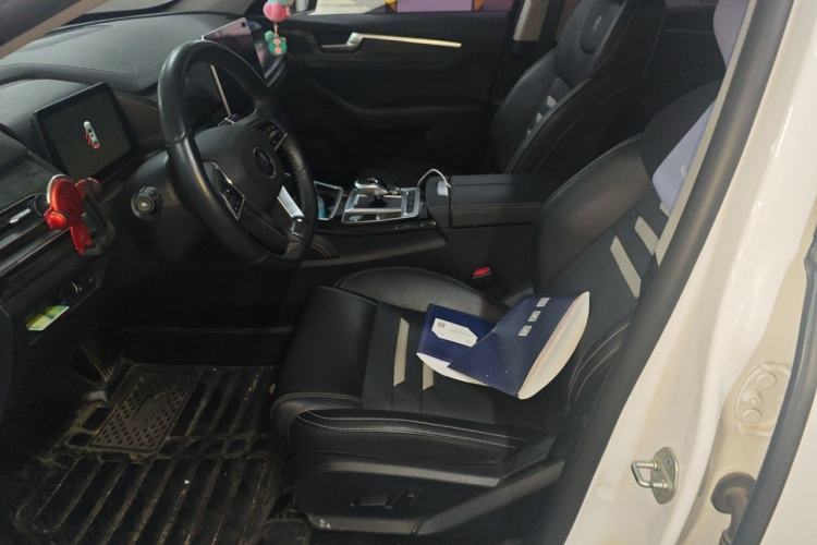 Used BYD Qin Pro New Energy 2019 EV Super Edition High-Power Long-Range Smart-Connected Leading Model Left Front Seat