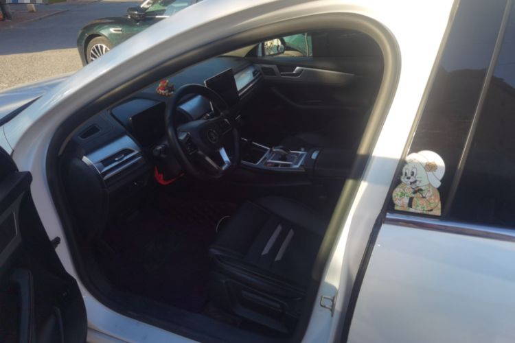Used BYD Qin Pro New Energy 2019 DM Super Edition 1.5TI Automatic Smart Connect X-Trail Model China VI Standard Left Front Seat