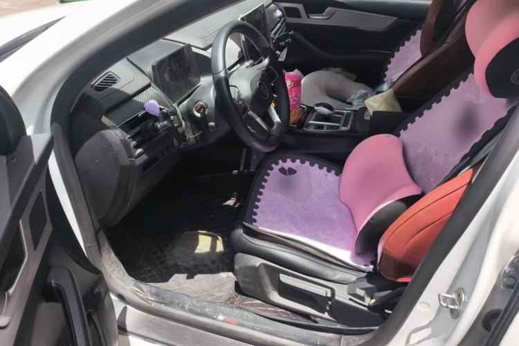 Used BYD Qin Pro New Energy 2019 DM Super Edition 1.5TI Automatic Smart Connect X-Trail Model China VI Standard Left Front Seat
