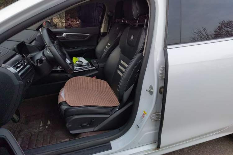 Used BYD Qin Pro New Energy 2019 EV Super Edition High-Power Long-Range Smart-Connected Cutting-Edge Model Left Front Seat