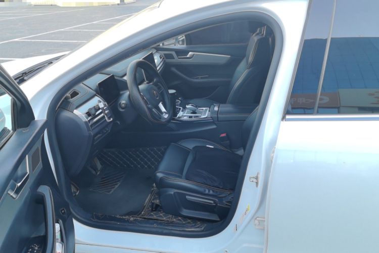 Used BYD Qin Pro New Energy 2019 EV Super Edition Standard Version Smart Connect Leading Style Left Front Seat