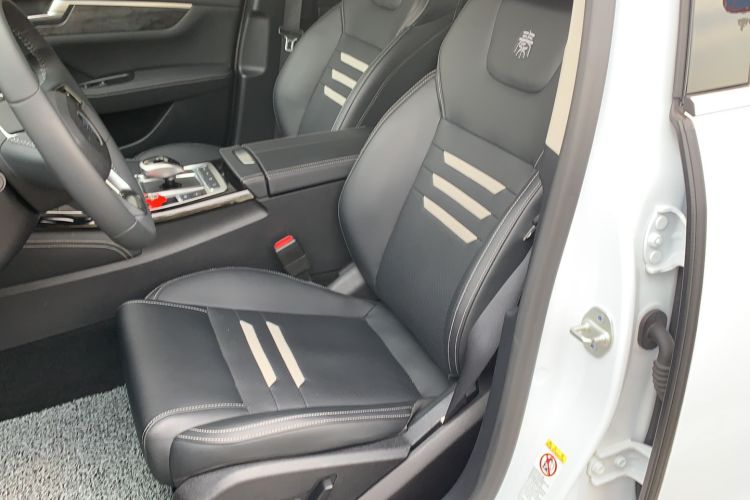Used BYD Qin Pro New Energy 2019 EV Super Edition High-Power Long-Range Smart-Connected Cutting-Edge Model Left Front Seat