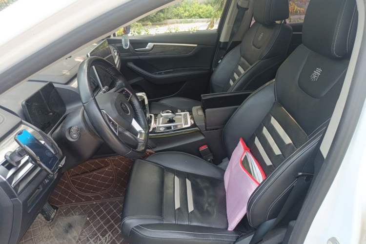 Used BYD Qin Pro New Energy 2019 EV Super Edition High-Power Smart Connect Luxurious Model Left Front Seat
