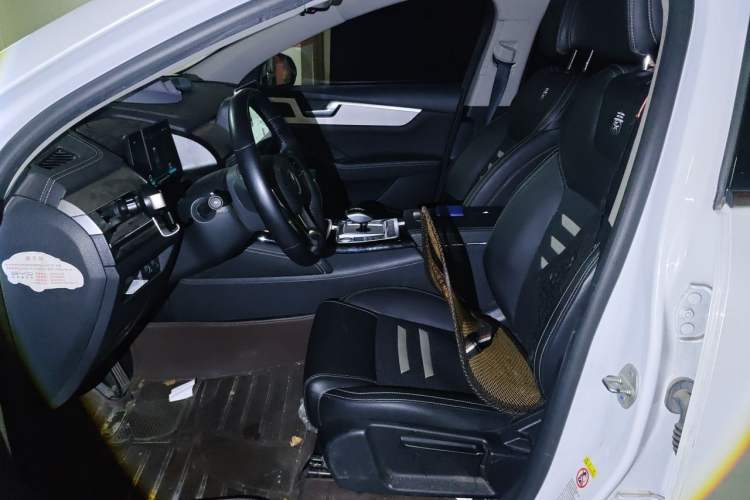 Used BYD Qin Pro New Energy 2019 EV Super Edition Standard Version Smart Connect Leading Style Left Front Seat