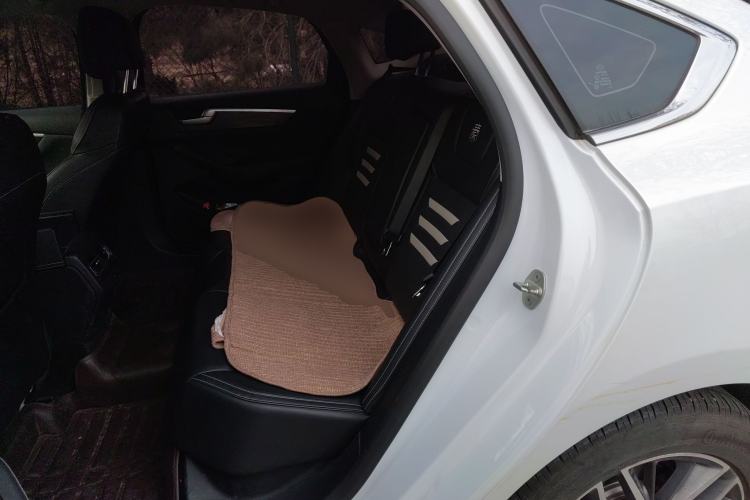 Used BYD Qin Pro New Energy 2019 EV Super Edition High-Power Long-Range Smart-Connected Cutting-Edge Model Left Rear Seat