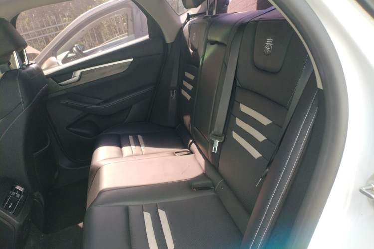 Used BYD Qin Pro New Energy 2019 EV Super Edition High-Power Smart Connect & Premium Model Left Rear Seat