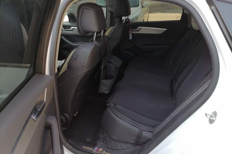 Used BYD Qin Pro New Energy 2019 EV Super Edition Standard Version Smart Connect Leading Style Left Rear Seat