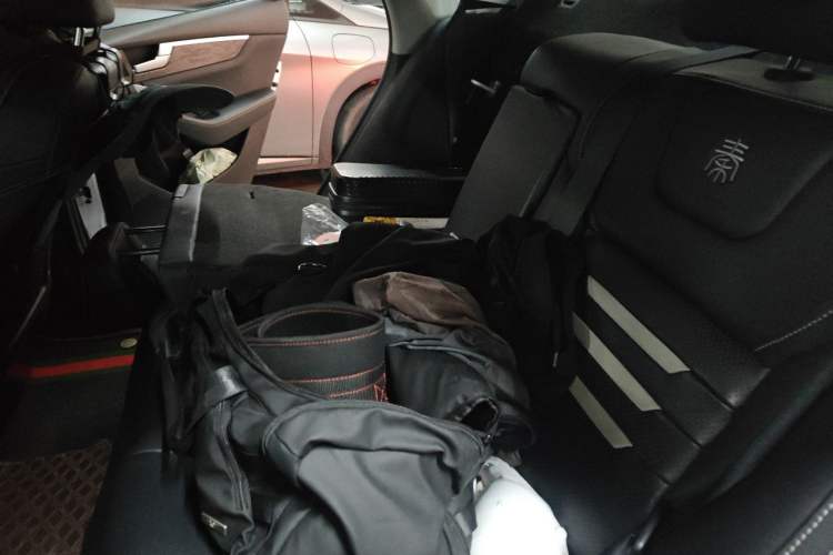 Used BYD Qin Pro New Energy 2019 EV Super Edition High-Power Smart Connect Luxurious Model Left Rear Seat