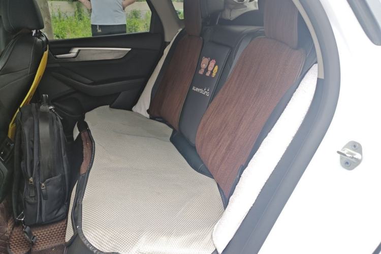 Used BYD Qin Pro New Energy 2019 EV Super Edition High-Power Long-Range Smart-Connected Cutting-Edge Model Left Rear Seat