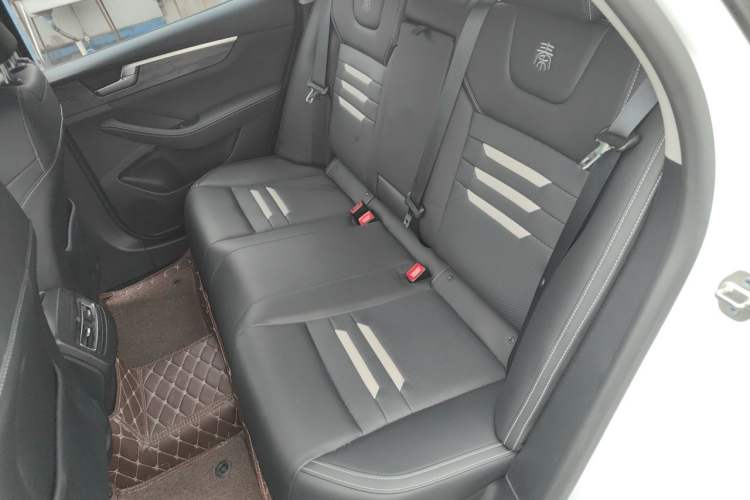 Used BYD Qin Pro New Energy 2019 DM 1.5TI Automatic Navigation Edition Left Rear Seat