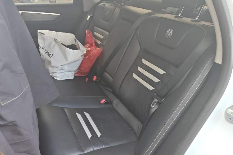Used BYD Qin Pro New Energy 2019 EV Super Edition High-Power Long-Range Smart-Connected Cutting-Edge Model Left Rear Seat