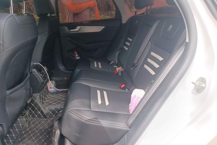 Used BYD Qin Pro New Energy 2019 EV Super Edition High-Power Long-Range Smart-Connected Leading Model Left Rear Seat