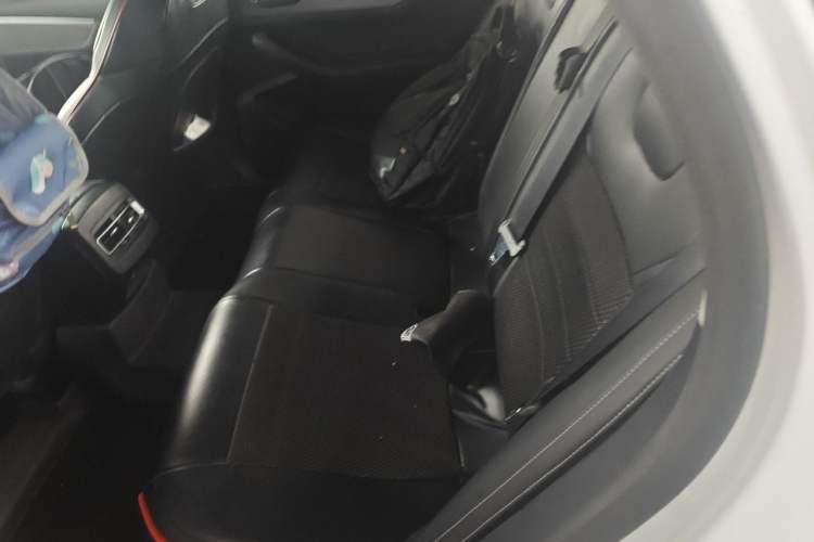 Used BYD Qin Pro New Energy 2019 EV Super Edition Standard Version Smart Connect Leading Style Left Rear Seat
