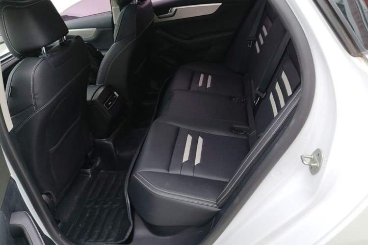 Used BYD Qin Pro New Energy 2019 EV Super Edition Standard Version Smart Connect Leading Style Left Rear Seat