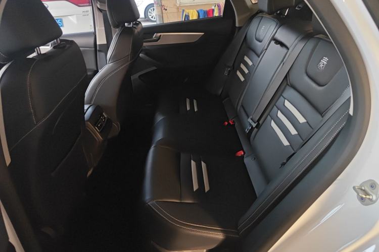 Used BYD Qin Pro New Energy 2019 DM 1.5TI Automatic Navigation Edition Left Rear Seat