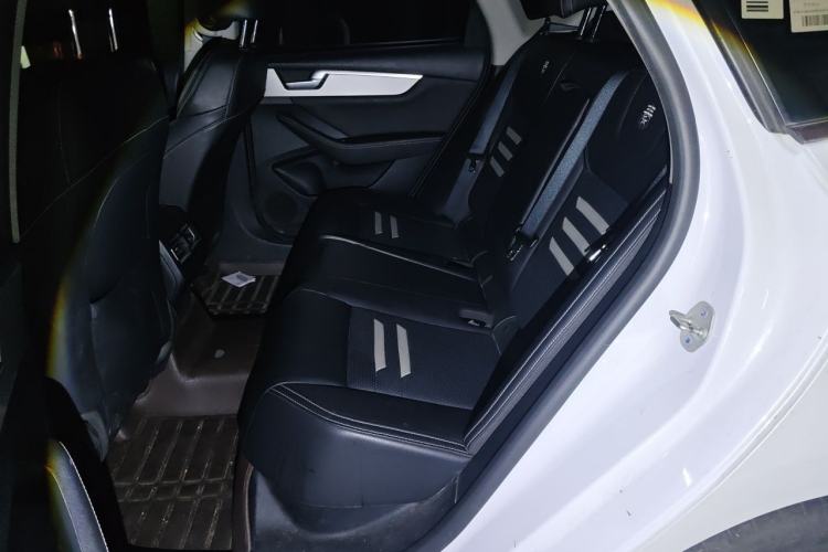 Used BYD Qin Pro New Energy 2019 EV Super Edition Standard Version Smart Connect Leading Style Left Rear Seat