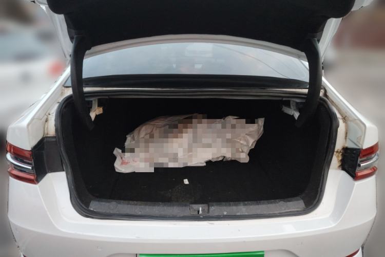 Used BYD Qin Pro New Energy 2019 EV Travel Edition Trunk