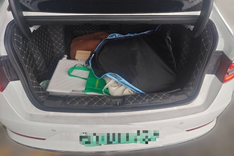 Used BYD Qin Pro New Energy 2019 EV Super Edition Standard Version Smart Connect Leading Style Trunk