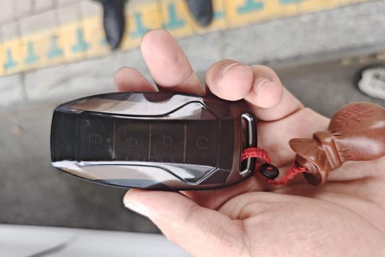 Used BYD Qin Pro New Energy 2019 EV Super Edition High-Power Long-Range Smart-Connected Cutting-Edge Model Vehicle Key