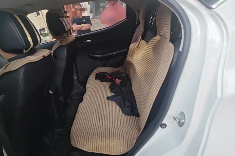 Used BYD S2 2019 Smart Standard Version Left Rear Seat