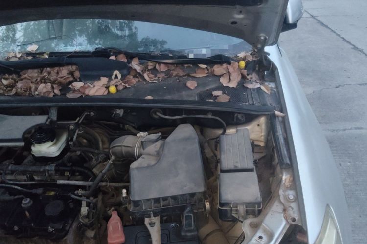Used BYD S6 2012 2.0L Manual Luxury Version Engine Bay Left