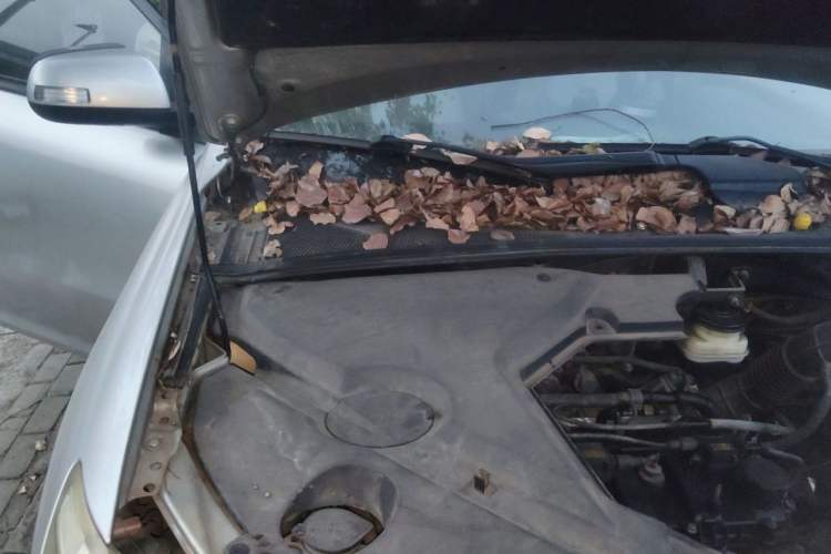 Used BYD S6 2012 2.0L Manual Luxury Version Engine Bay Right
