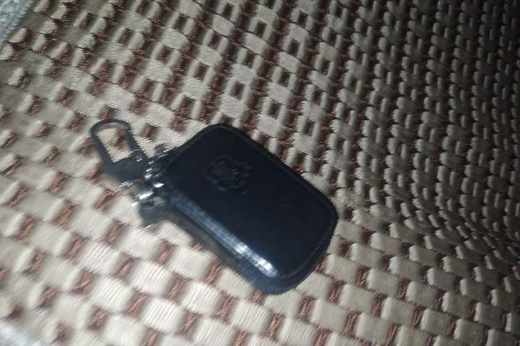 Used BYD S6 2012 2.4L Automatic Luxury Edition Vehicle Key