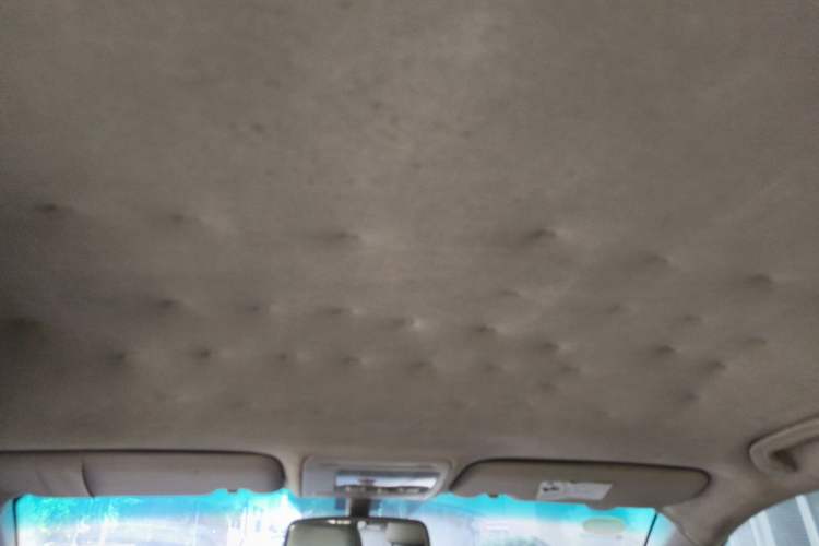 Used BYD S6 2013 Platinum Edition 2.0L Manual Luxury Model Headliner